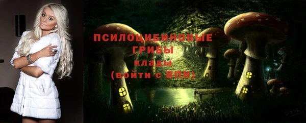 МДПВ Кукмор