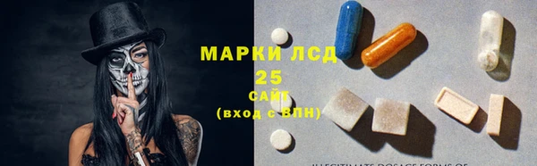 МДПВ Кукмор