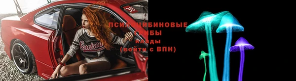 МДПВ Кукмор