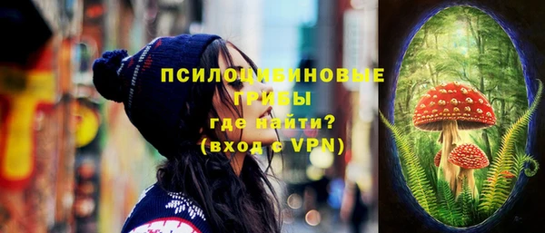 МДПВ Кукмор